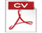 pdf icon