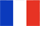 Français (France)